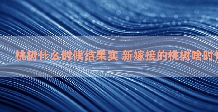 桃树什么时候结果实 新嫁接的桃树啥时候结果子啊